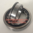 BEARING NJ 205
